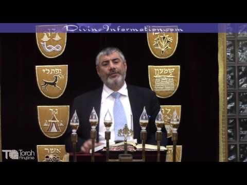 Parashat Bahar Shmita, Stealing, Deceiving, Abortions, Drugs Epidemic, Justice System, And More